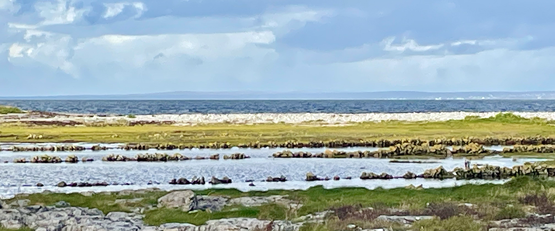 Aughinish Bay Community